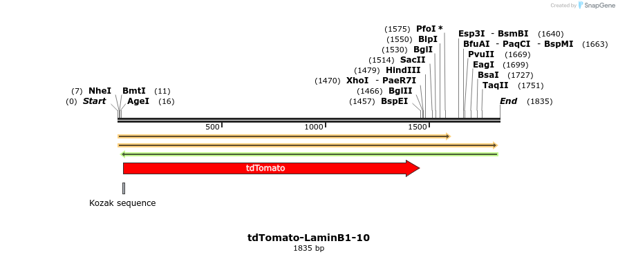 89242_map