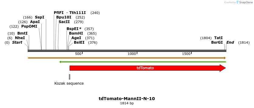 89246_map