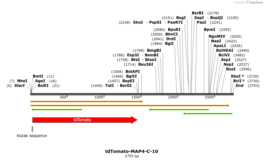 89247_map