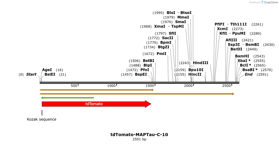 89248_map