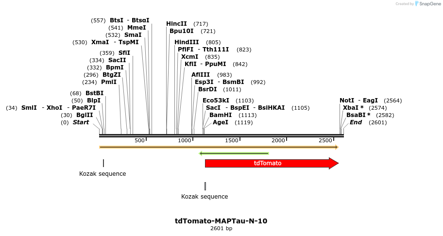 89249_map