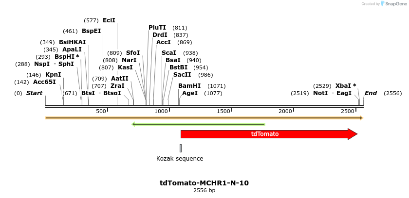 89250_map