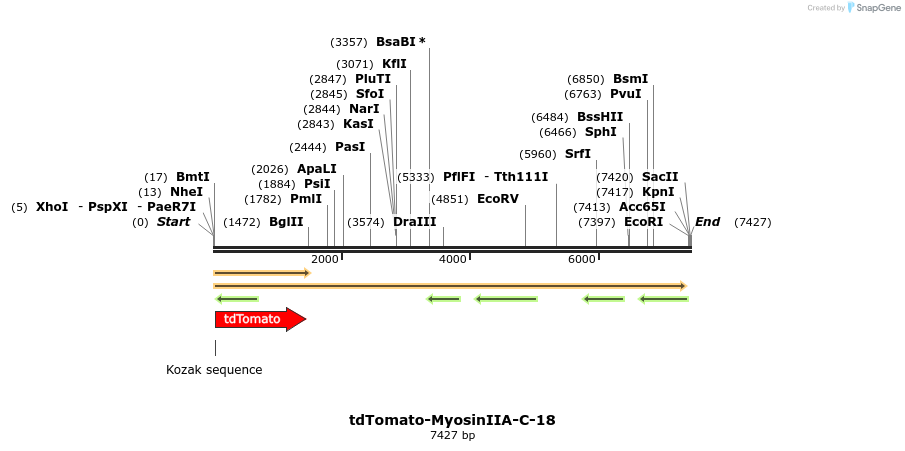 89252_map