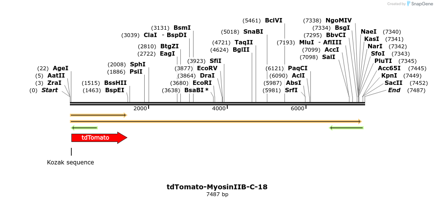 89254_map