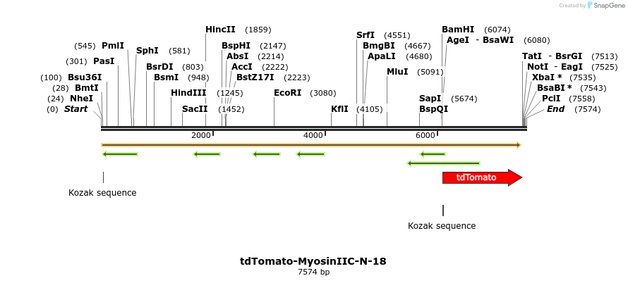 89256_map