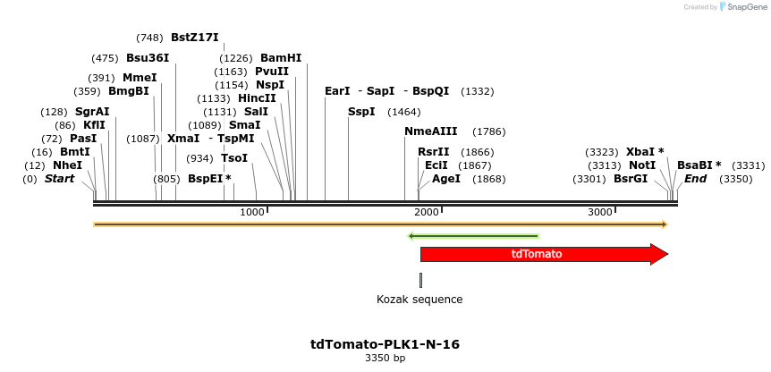 89262_map