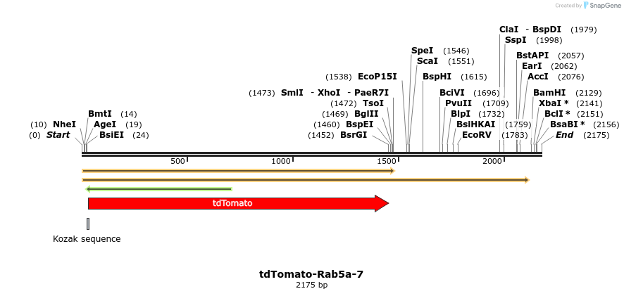 89263_map