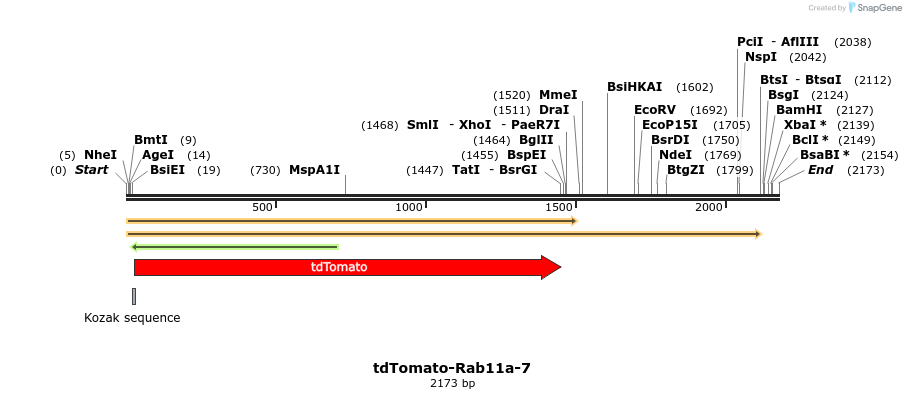 89265_map