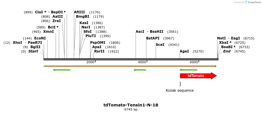 89270_map