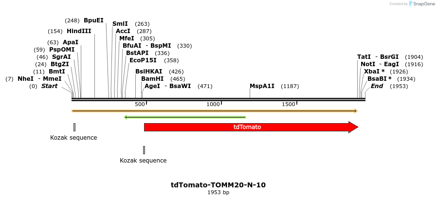 89271_map