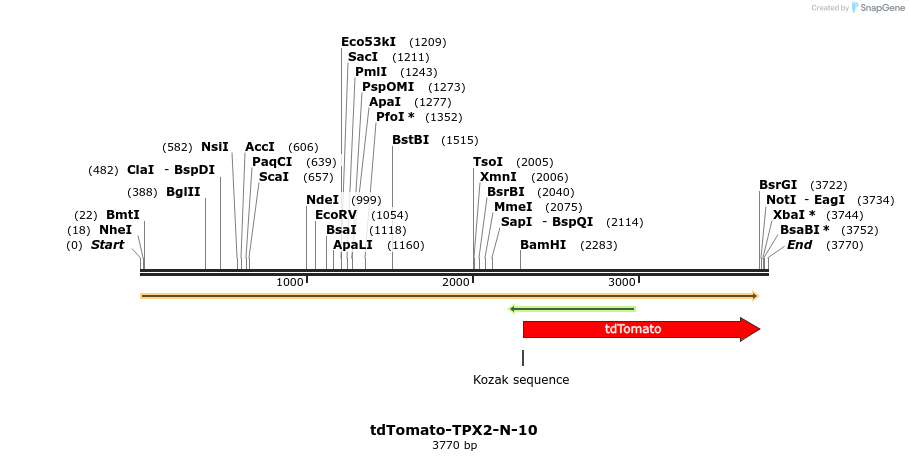 89272_map