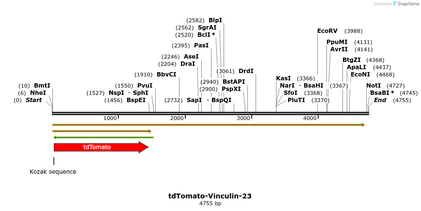89279_map