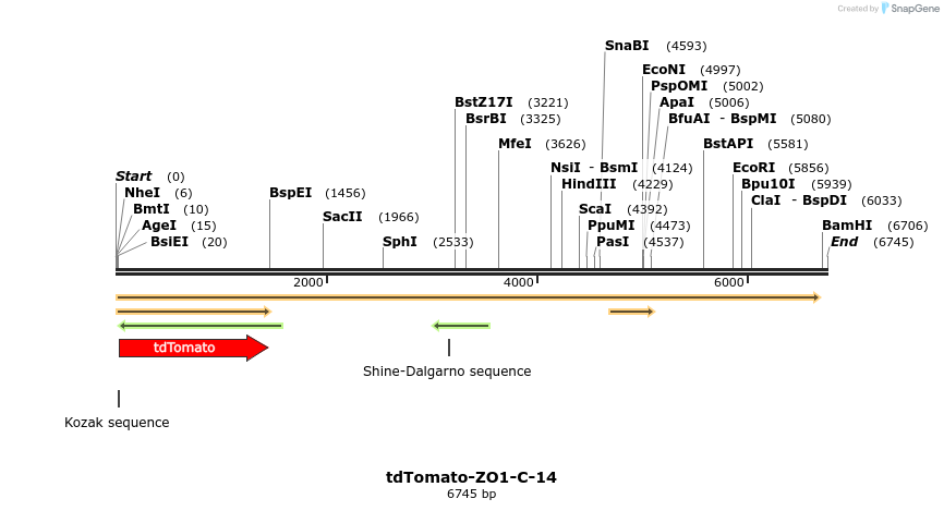 89281_map