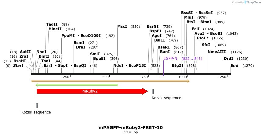 89287_map