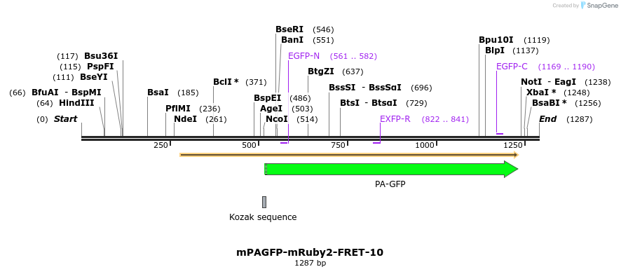 89288_map