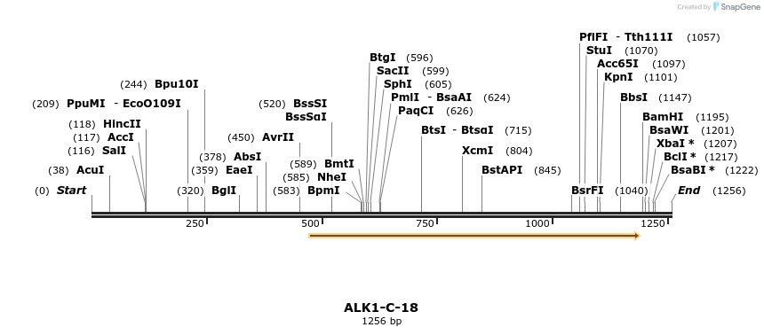 89296_map