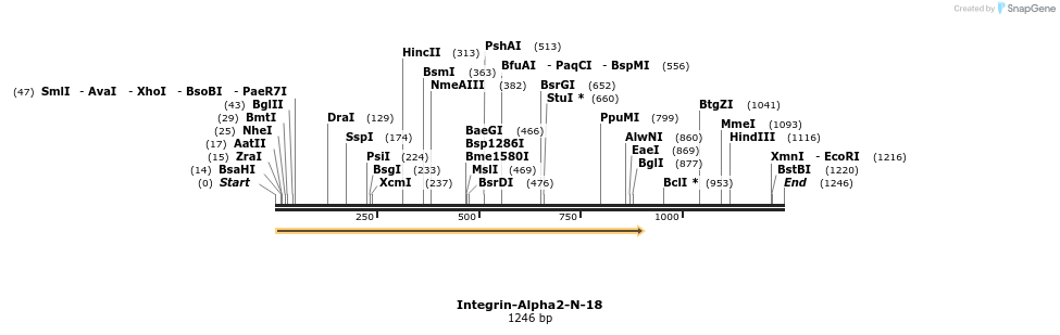 89302_map