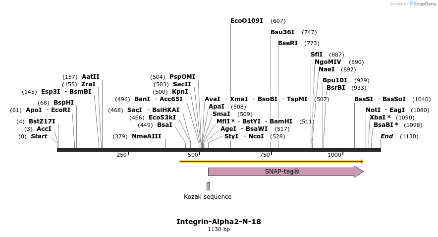 89303_map