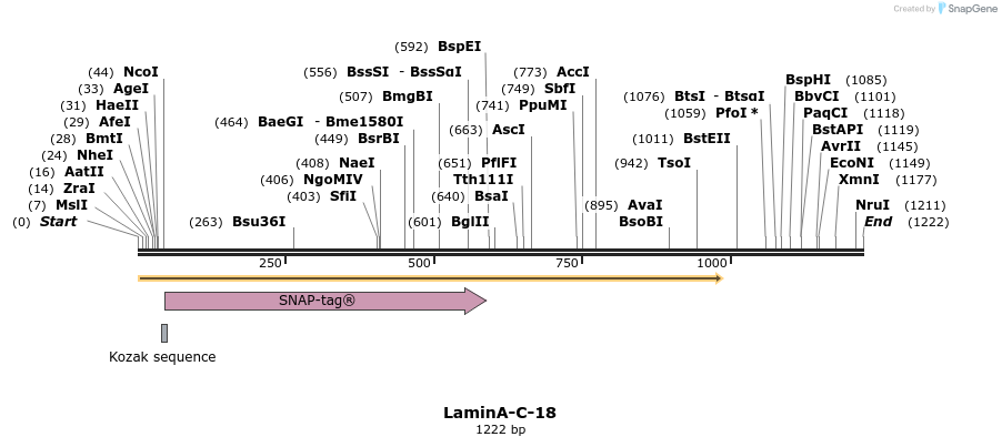 89304_map