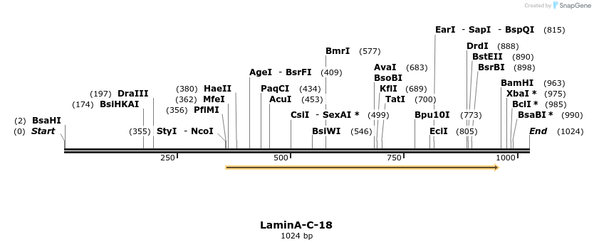 89305_map