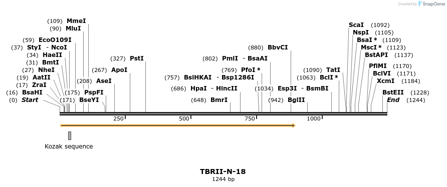 89310_map