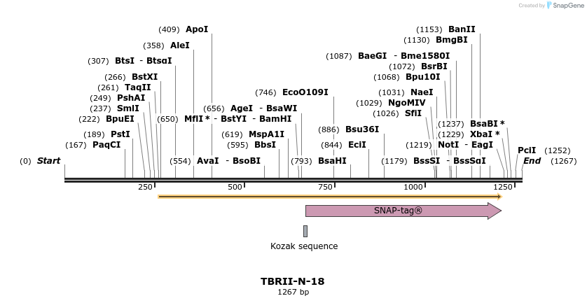 89311_map