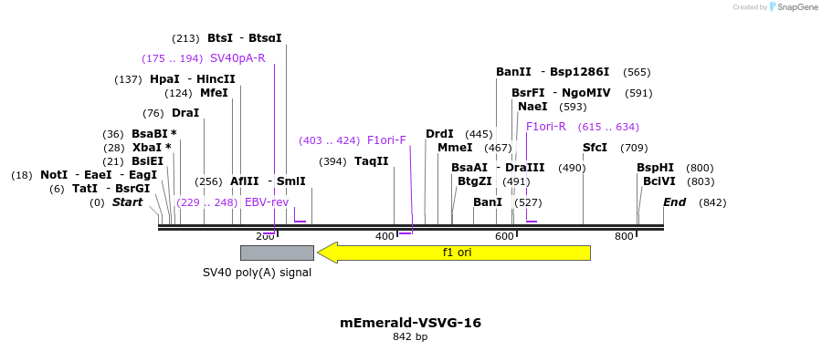89316_map