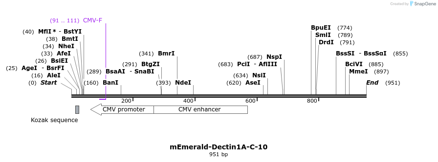 89317_map