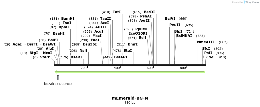 89322_map