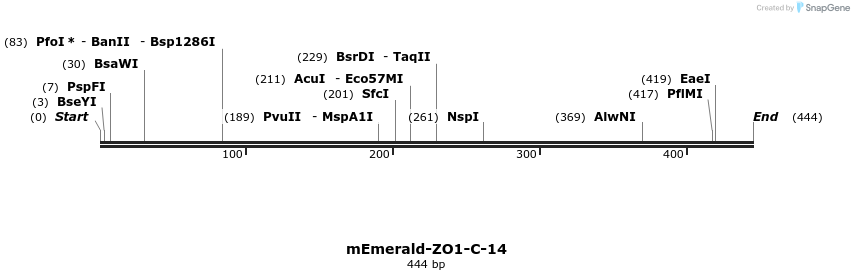 89323_map