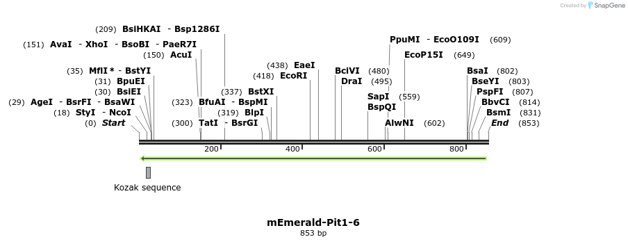 89325_map