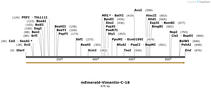 89327_map