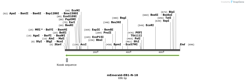 89329_map
