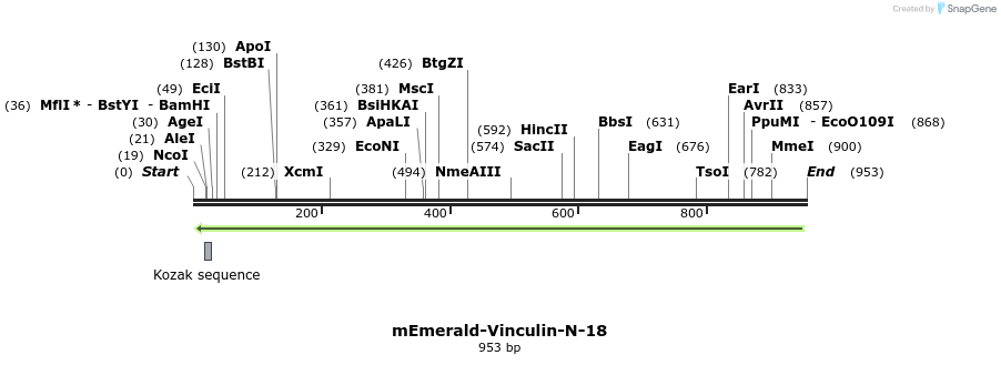 89331_map