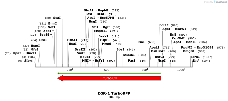 89333_map