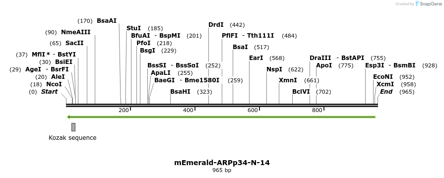 89336_map