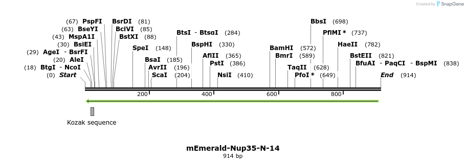 89341_map