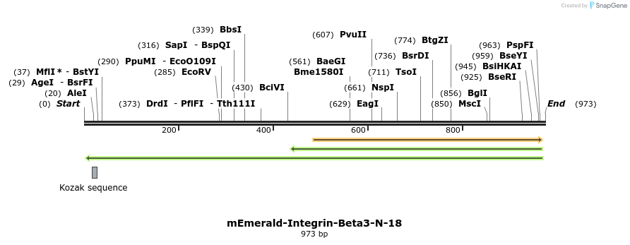 89342_map