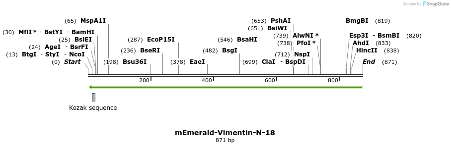 89343_map