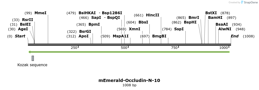 89348_map