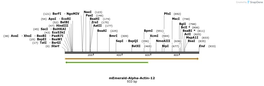 89349_map
