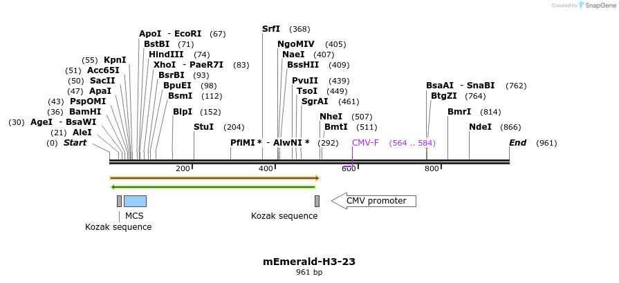 89350_map