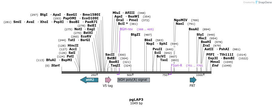 89352_map