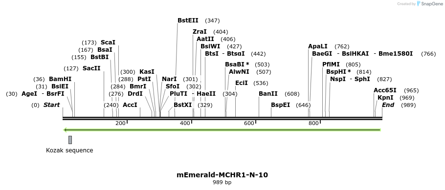 89361_map
