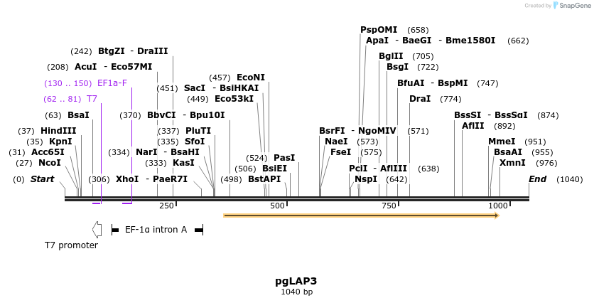 89363_map