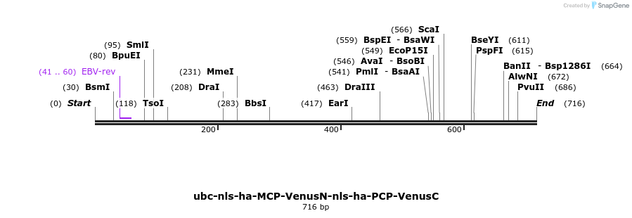 89364_map