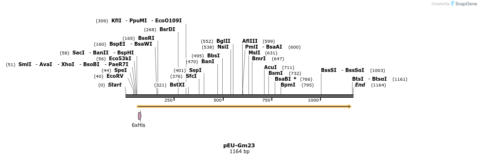 89368_map