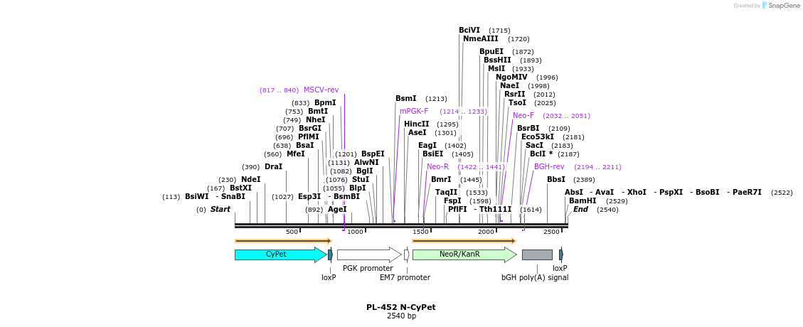 8937_map