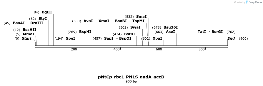 89372_map