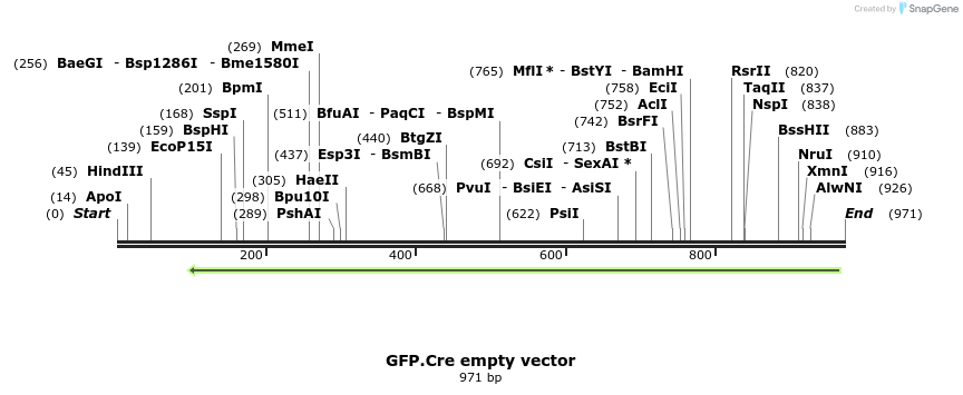 89373_map